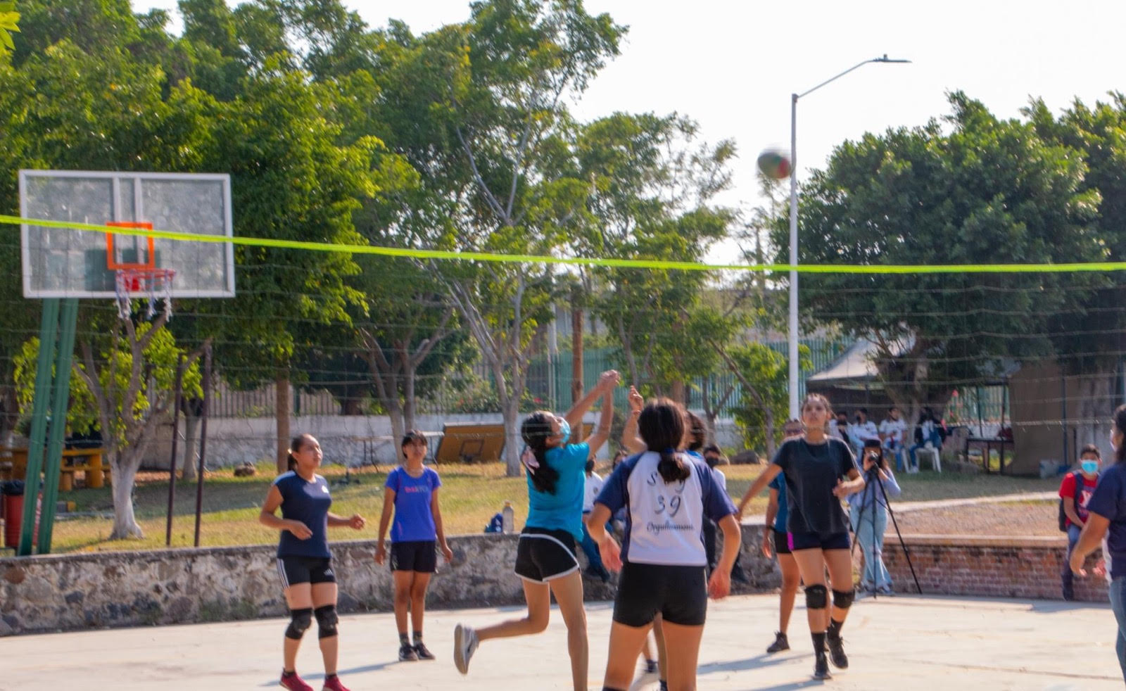 Voleibol femenil