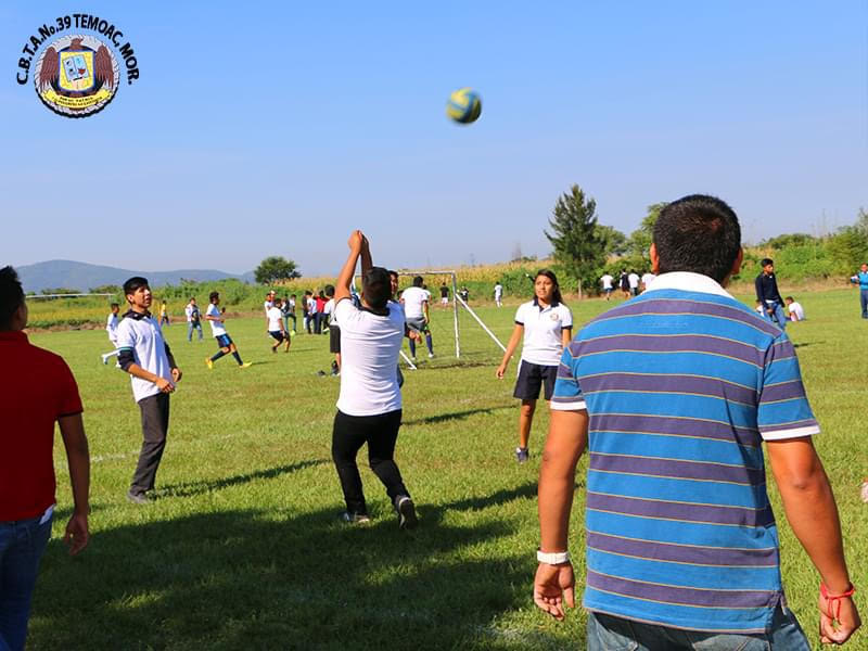 Voleibol varonil